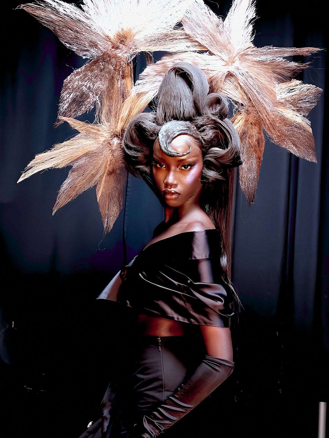 Black Hair Reimagined